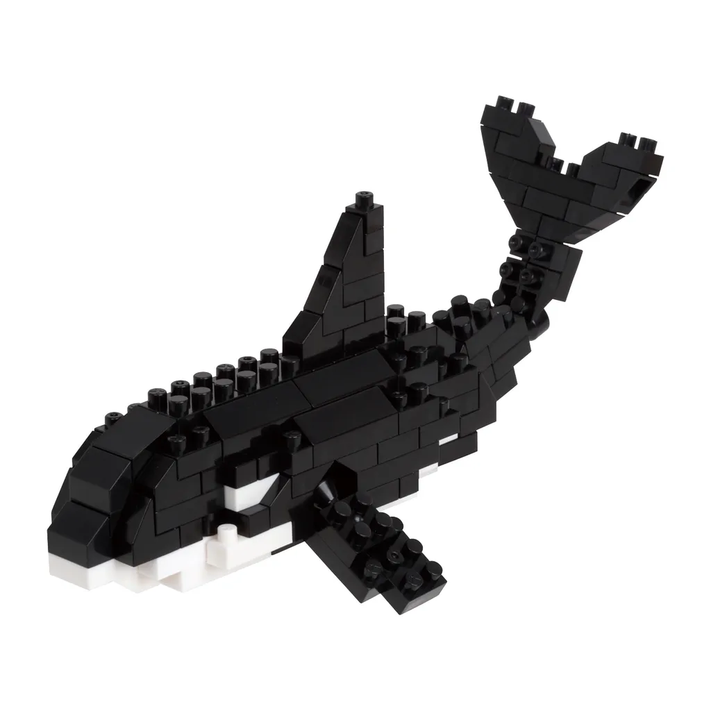 Killer Whale — view 1