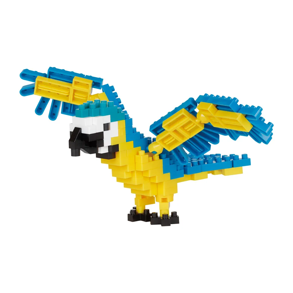 Blue-and-yellow Macaw — view 1