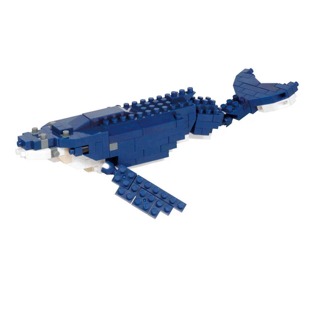 Humpback Whale — view 1