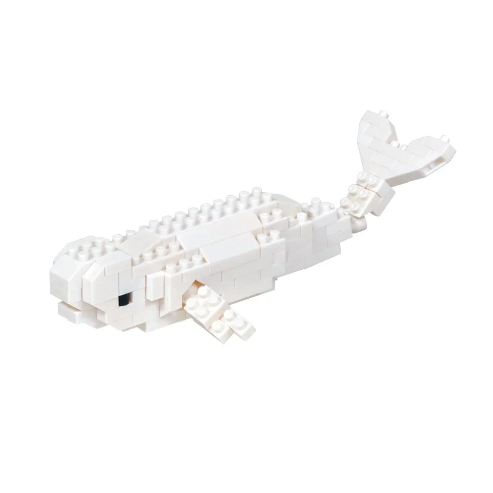Beluga — view 1