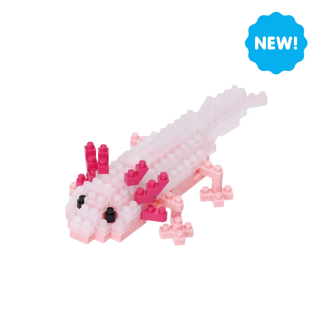 Axolotl — view 1