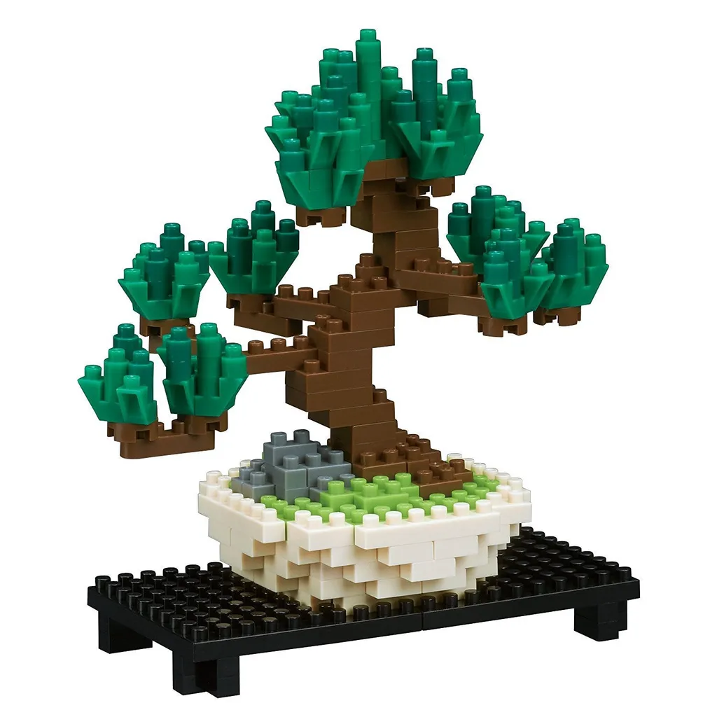 Pine Bonsai — view 1