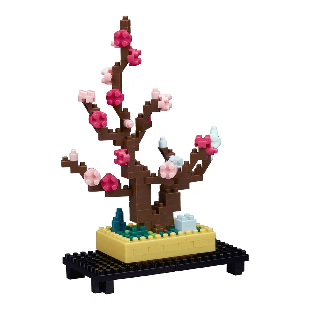 Plum Bonsai — view 1