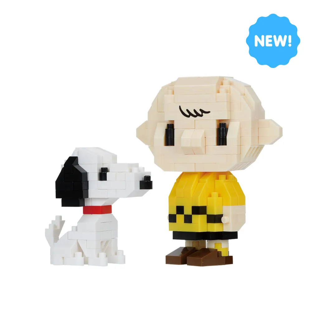 Peanuts - Charlie Brown with Snoopy — view 1