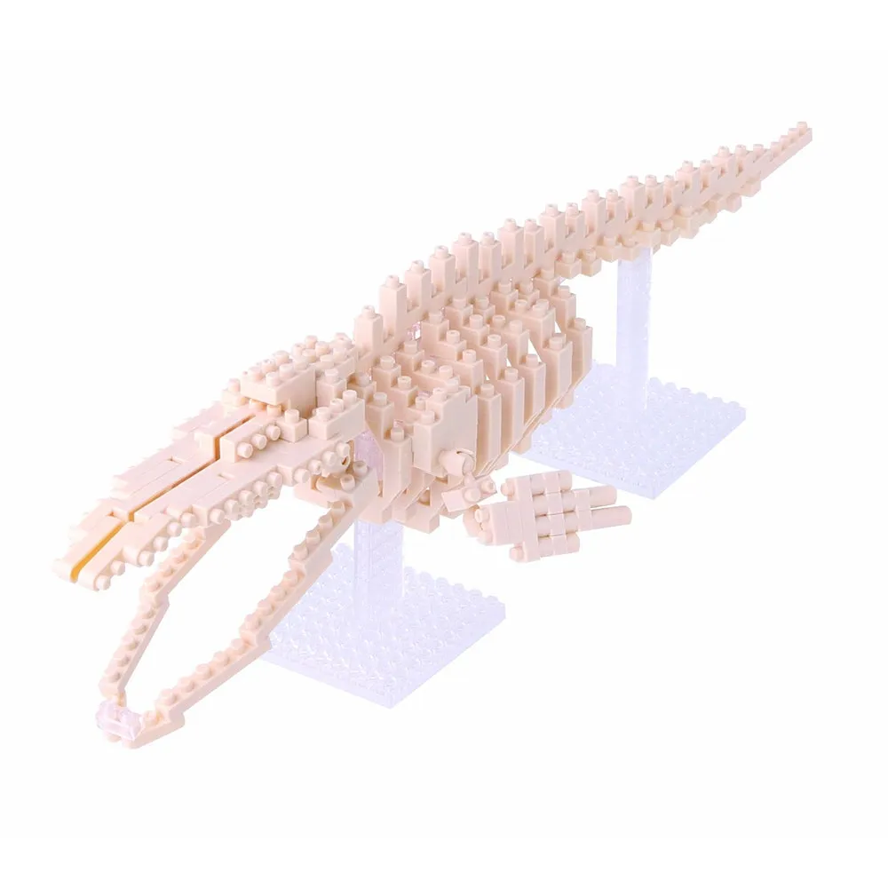 Blue Whale Skeleton — view 1