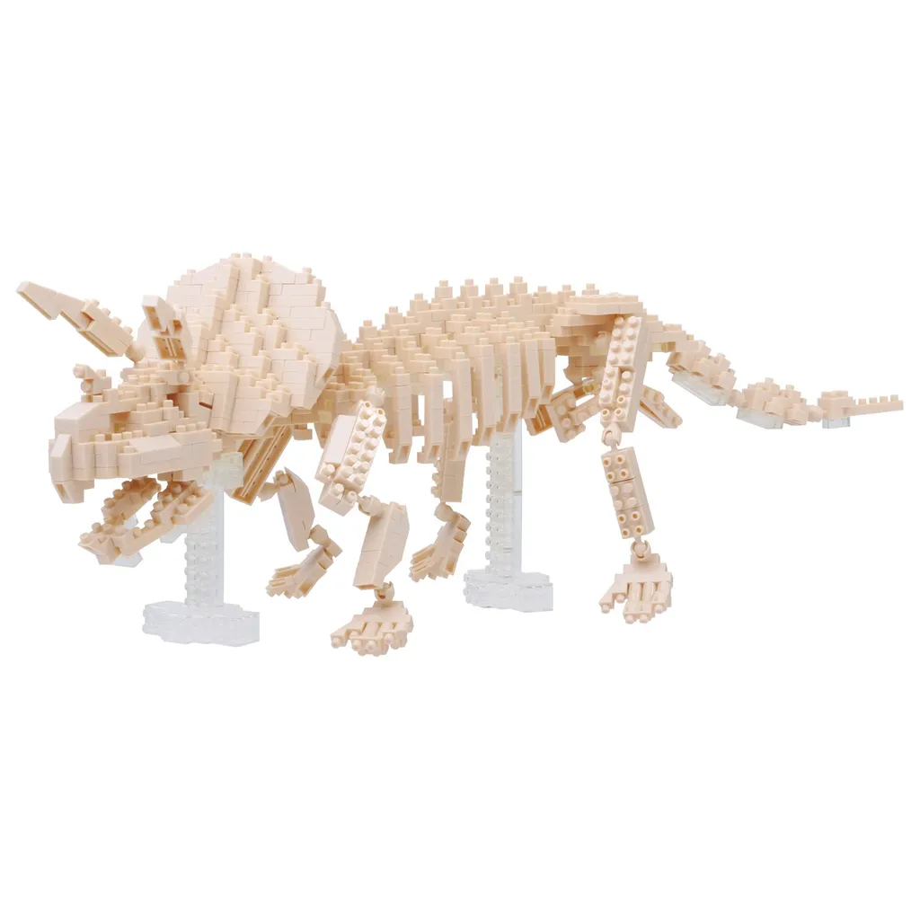 Triceratops skeleton — view 1