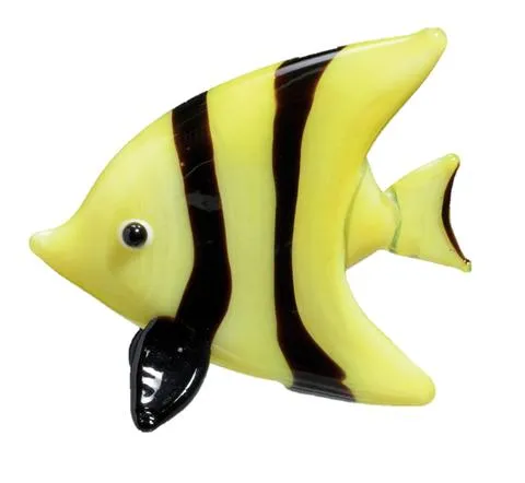 Moorish Idol — view 1