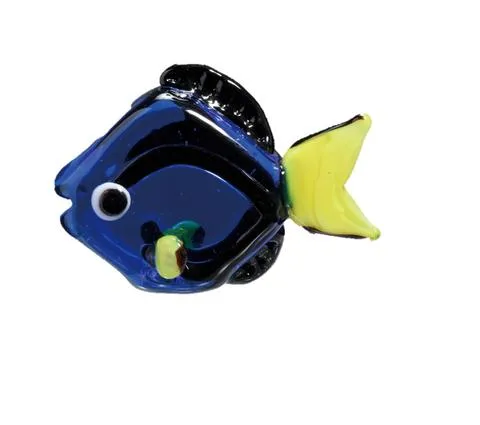 Blue Tang — view 1